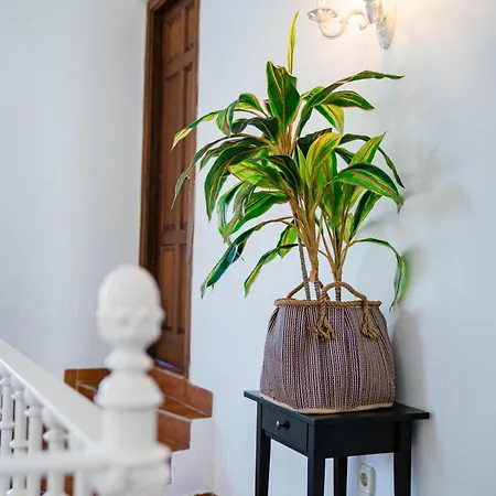 10 Luxe By Lirios Village 别墅 马尔韦利亚