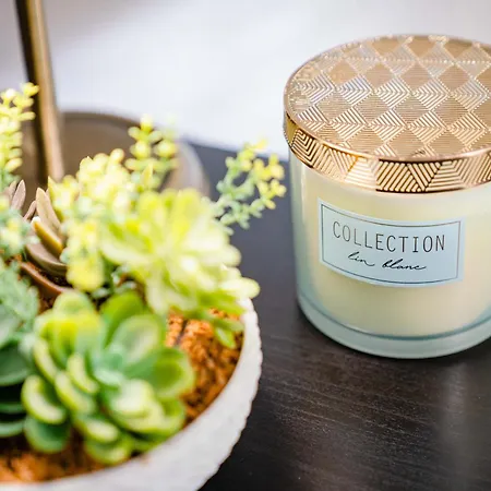 别墅 10 Luxe By Lirios Village 马尔韦利亚