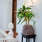 10 Luxe By Lirios Village فيلة ماربيا