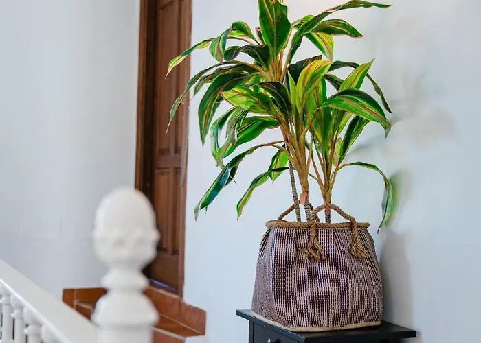 10 Luxe By Lirios Village Villa Marbella